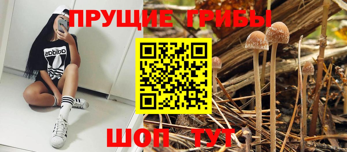 Галлюциногенные грибы Cubensis Красный Сулин