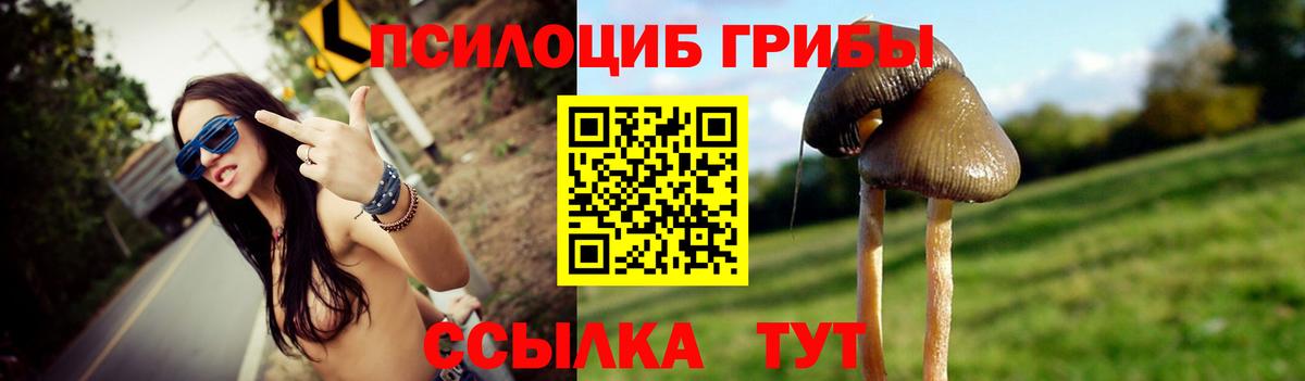 Красный Сулин  Псилоцибиновые грибы Cubensis  Вход с VPN 
